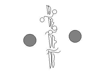 0x08 graphic