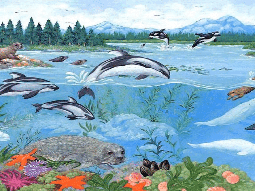 background image